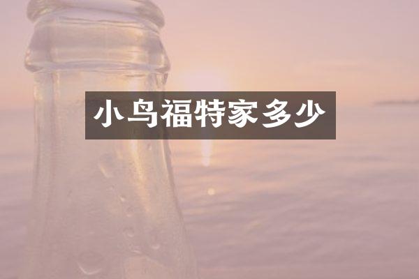 小鸟福特家多少