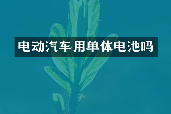 电动汽车用单体电池吗