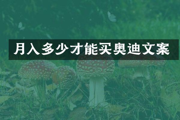 月入多少才能买奥迪文案