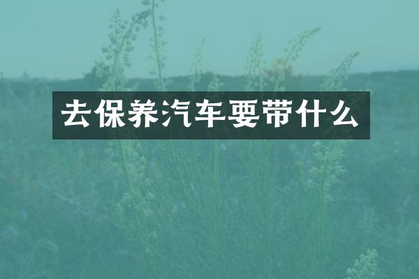 去保养汽车要带什么