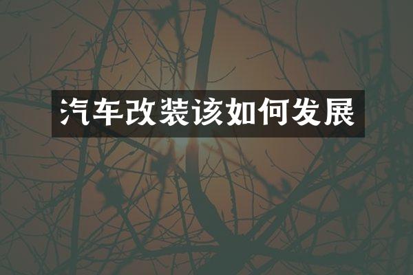汽车改装该如何发展