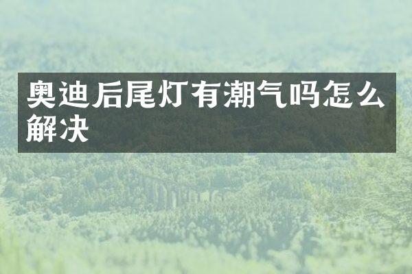 奥迪后尾灯有潮气吗怎么解决