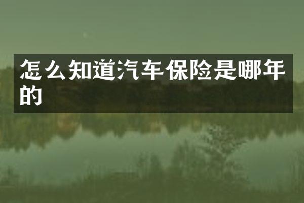 怎么知道汽车保险是哪年的