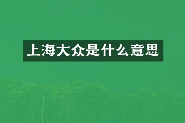 上海大众是什么意思