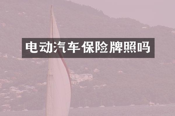电动汽车保险牌照吗
