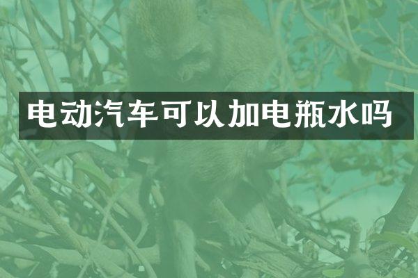 电动汽车可以加电瓶水吗