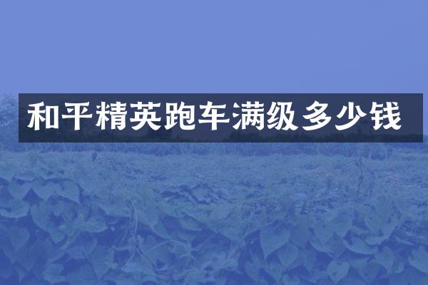 和平精英跑车满级多少钱