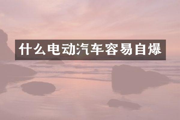 什么电动汽车容易