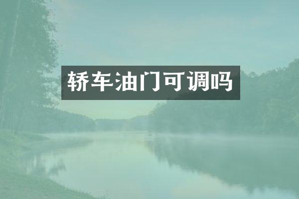 轿车油门可调吗