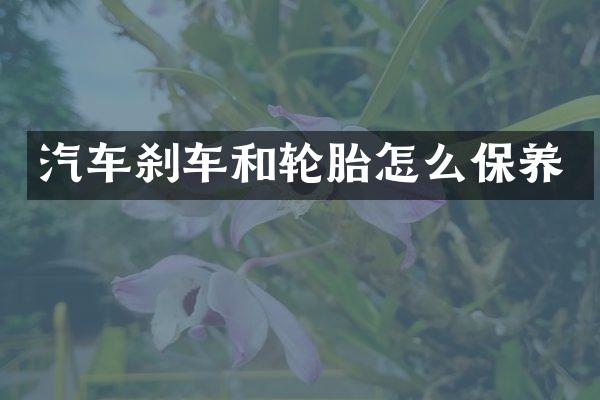 汽车刹车和轮胎怎么保养