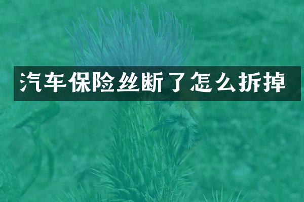 汽车保险丝断了怎么拆掉