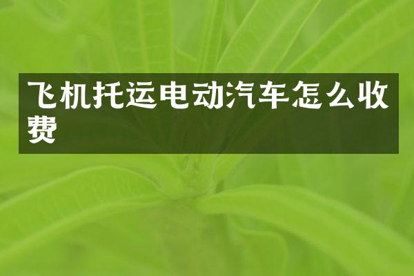 飞机托运电动汽车怎么收费