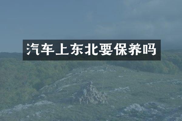 汽车上东北要保养吗