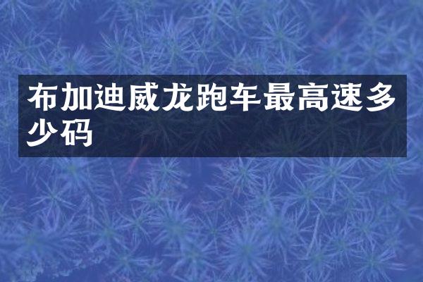 布加迪威龙跑车最高速多少码
