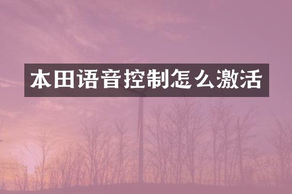 本田语音控制怎么激活