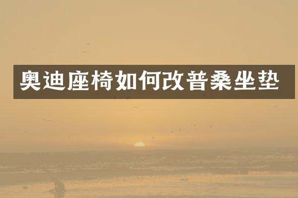 奥迪座椅如何改普桑坐垫