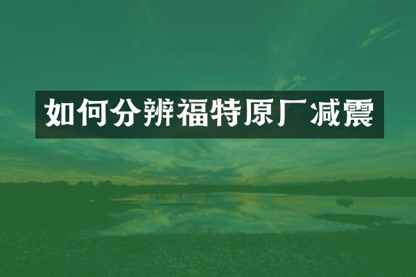 如何分辨福特原厂减震