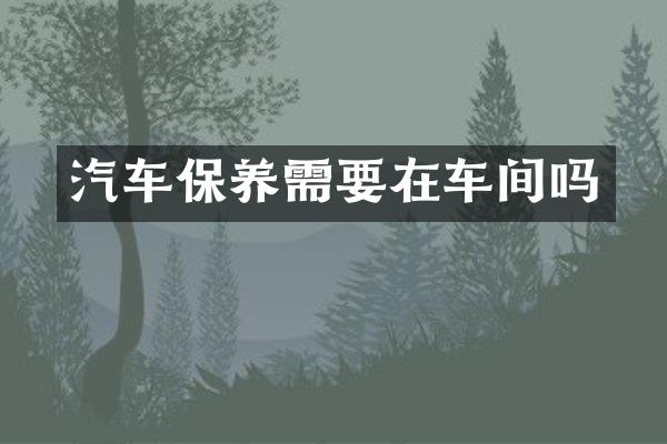 汽车保养需要在车间吗
