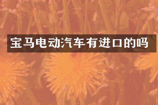 宝马电动汽车有进口的吗