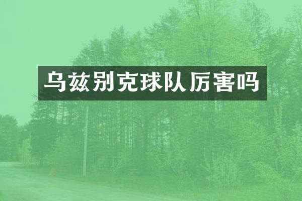 乌兹别克球队厉害吗