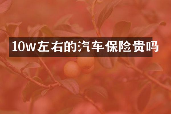 10w左右的汽车保险贵吗