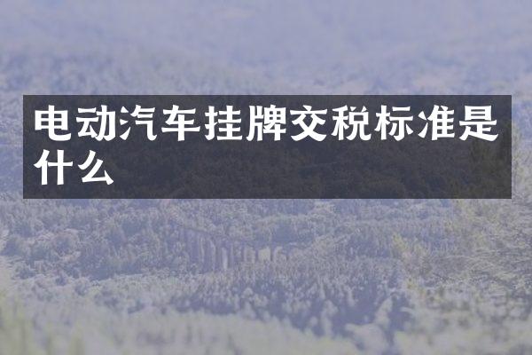 电动汽车挂牌交税标准是什么