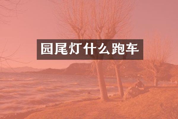 园尾灯什么跑车