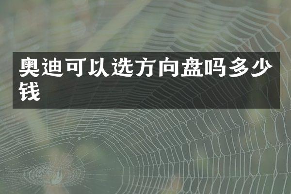 奥迪可以选方向盘吗多少钱