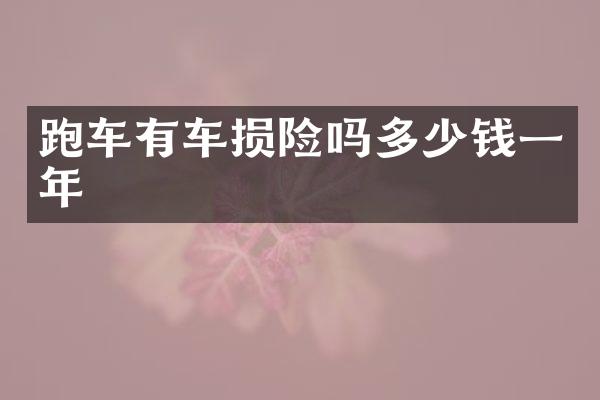 跑车有车损险吗多少钱一年