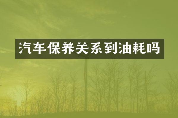 汽车保养关系到油耗吗