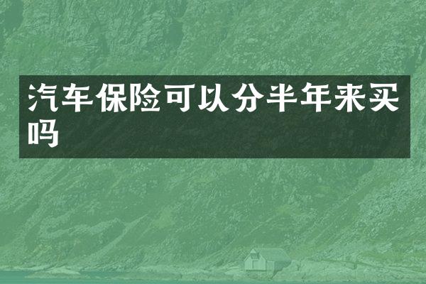汽车保险可以分半年来买吗