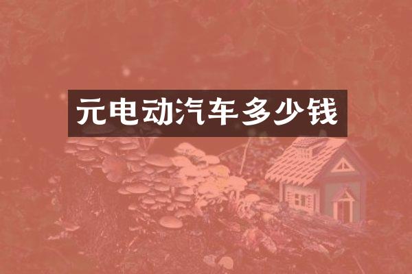 元电动汽车多少钱