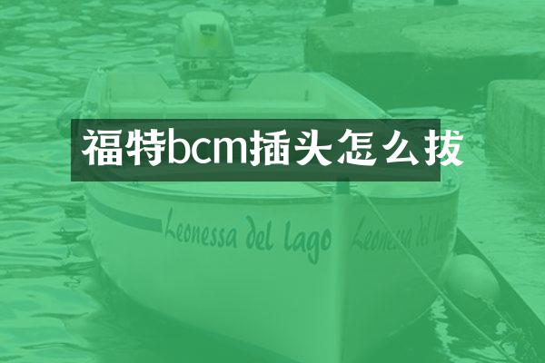 福特bcm插头怎么拔