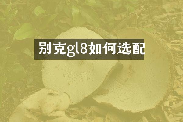 别克gl8如何选配