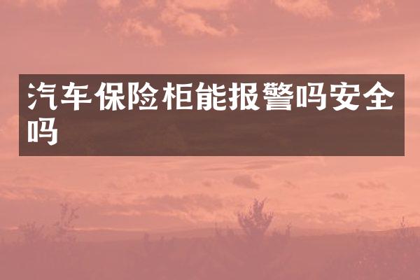 汽车保险柜能报警吗安全吗