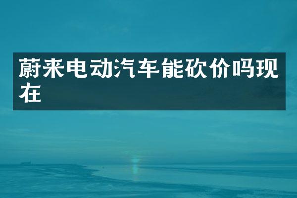 蔚来电动汽车能砍价吗现在