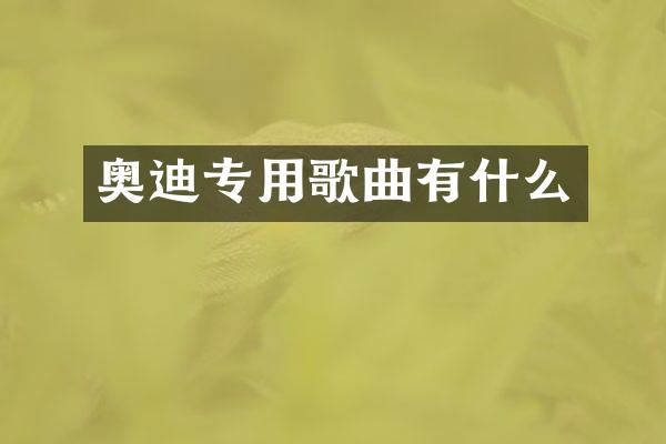 奥迪专用歌曲有什么