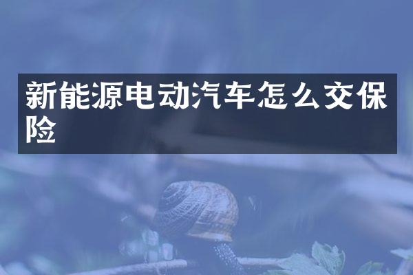 新能源电动汽车怎么交保险