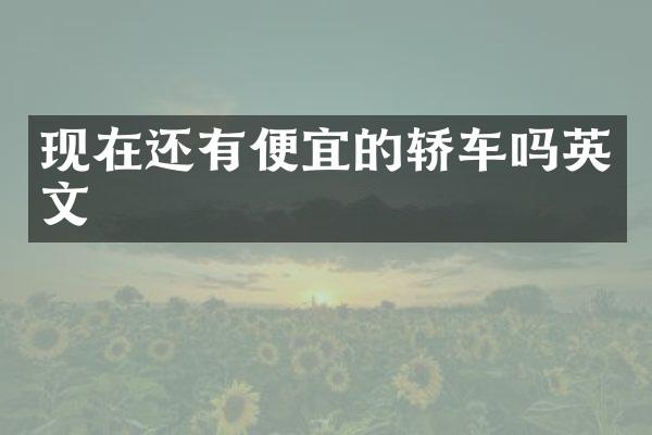 现在还有便宜的轿车吗英文