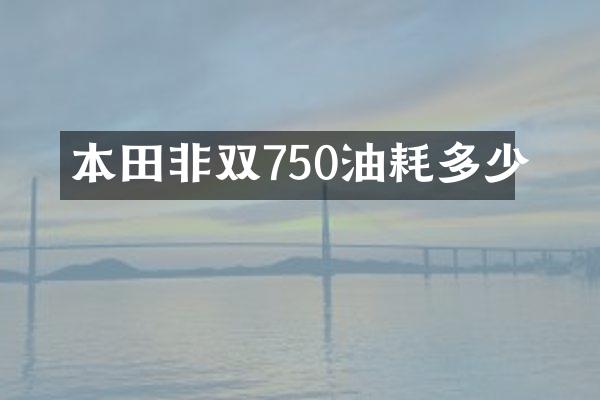 本田非双750油耗多少