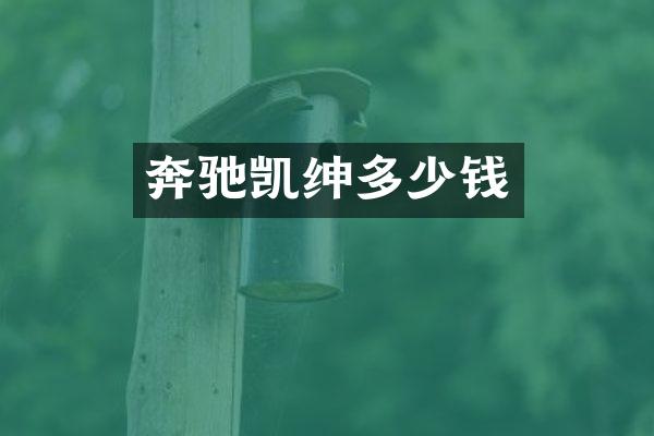 奔驰凯绅多少钱