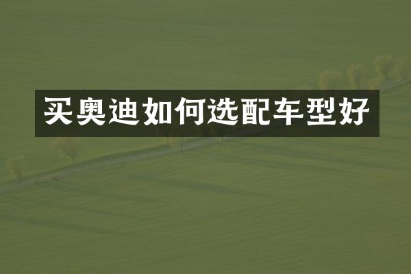 买奥迪如何选配车型好