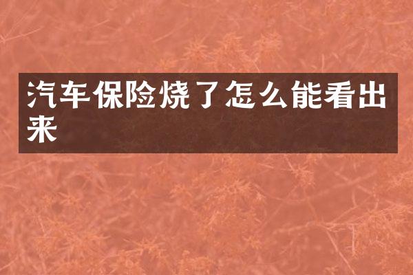 汽车保险烧了怎么能看出来