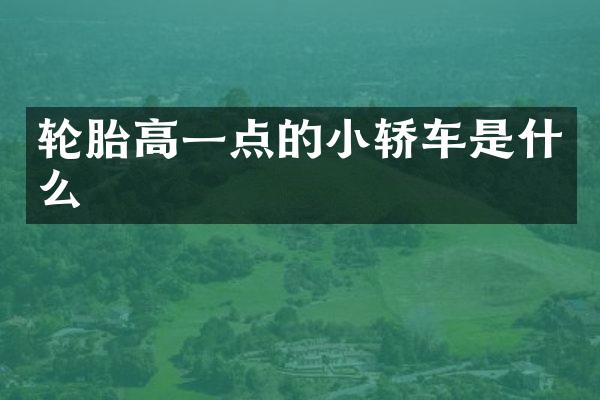 轮胎高一点的小轿车是什么
