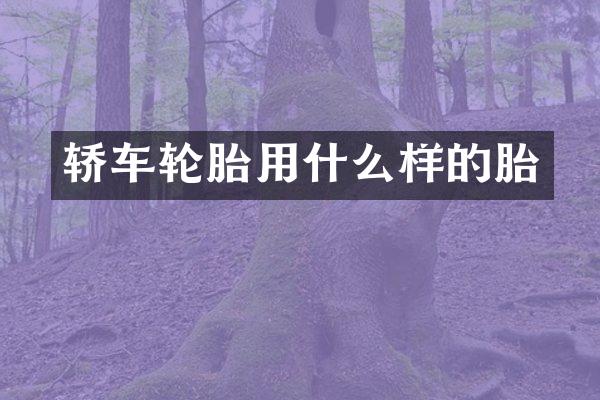 轿车轮胎用什么样的胎
