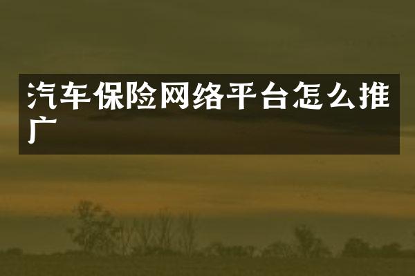 汽车保险网络平台怎么推广