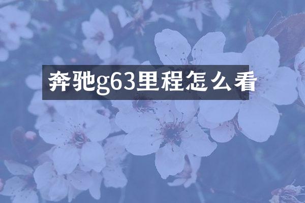 奔驰g63里程怎么看