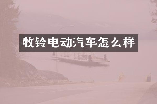 牧铃电动汽车怎么样