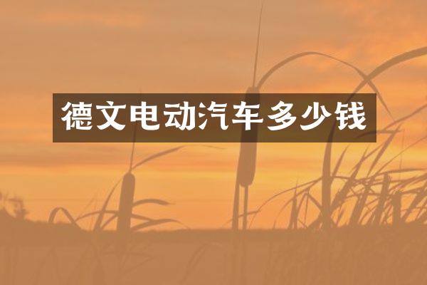 德文电动汽车多少钱