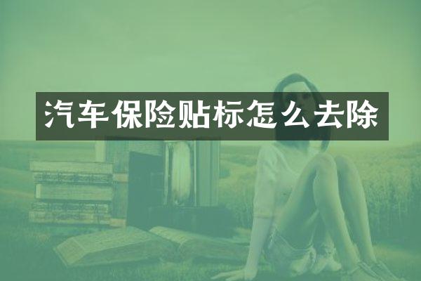 汽车保险贴标怎么去除